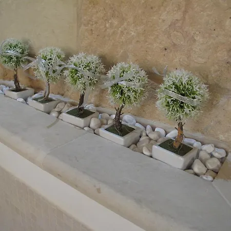 Suites Dr. Balmes Lecce